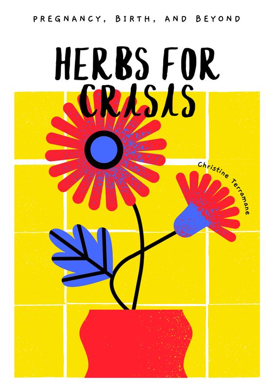 Herbs for Crisis: Pregnancy, Birth, and Beyond digital zine