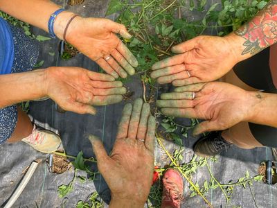 In-Person Classes