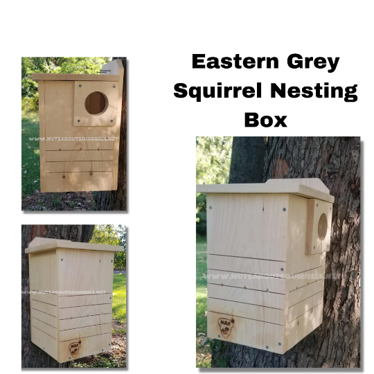 Gina&#39;s Basic Squirrel Nesting Box Made to Order