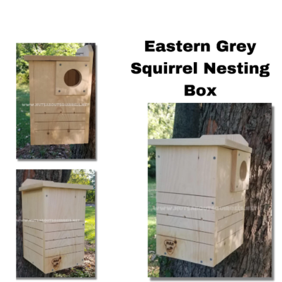 Basic Squirrel Nesting Box for Nature&#39;s Helping Hands