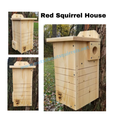 Red Squirrel Houses