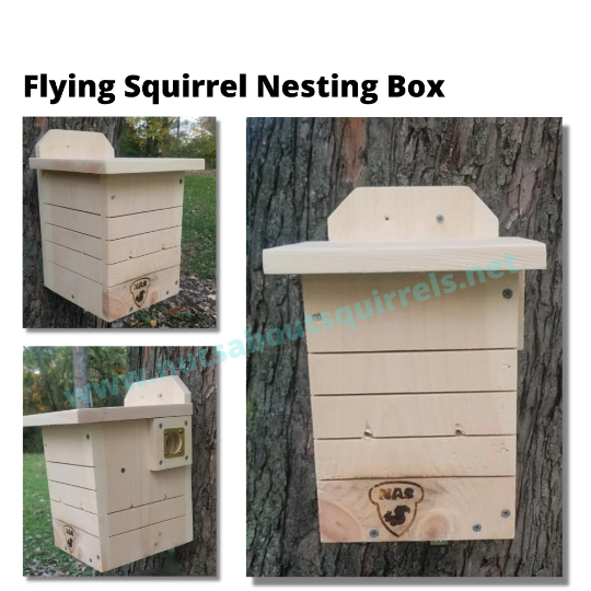Gina&#39;s Flying Squirrel House Made to Order