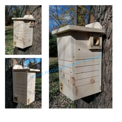 Northern or Southern Flying Squirrel Condo Made to Order