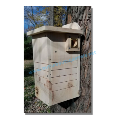 New England Flying Squirrel Network Flyer Condo