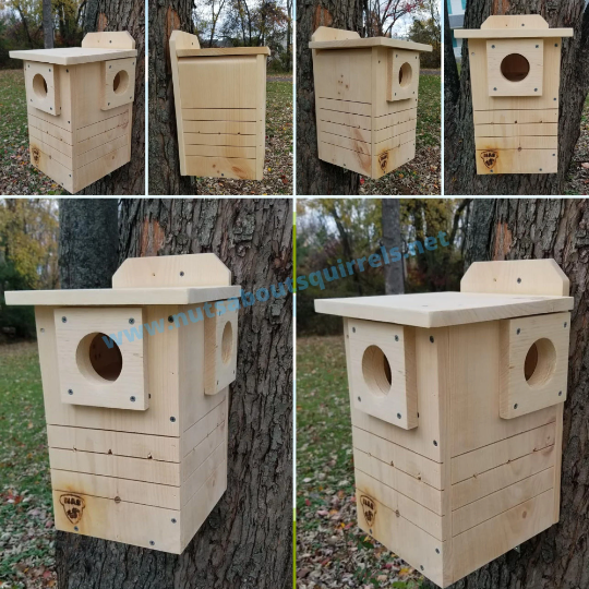 Basic Squirrel Nesting Box w/ Two Entrances for Nature&#39;s Helping Hands