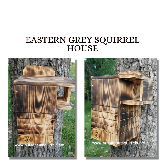Nesting Box for Acorn Acres