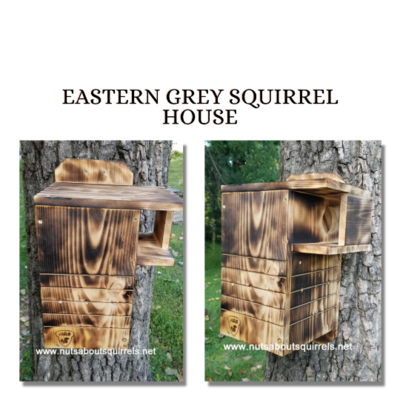 Nesting Box for Acorn Acres