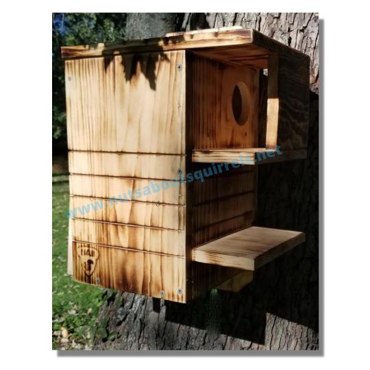 Red Squirrel Nesting Box with Scorched Finish &amp; Two Porches