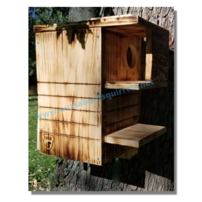 Red Squirrel Nesting Box with Scorched Finish &amp; Two Porches