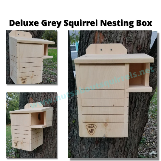 Squirrel Nesting Box for FourWands
