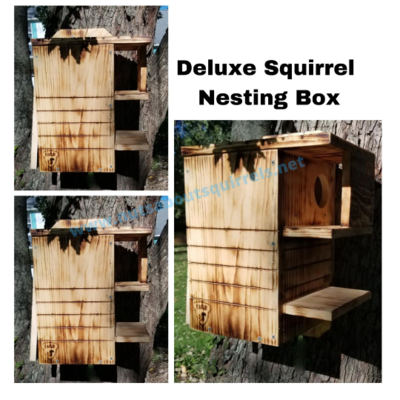Squirrel Nesting Box w/ Scorched Finish &amp; Two Porches
