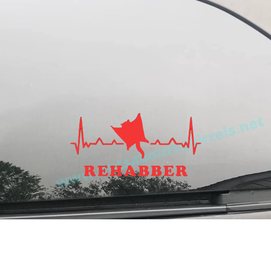 Flying Squirrel Rehabber Vinyl Decal