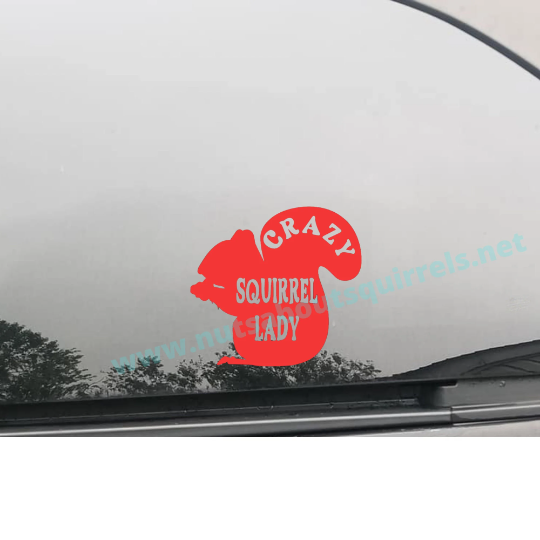 Crazy Squirrel Lady Vinyl Decal