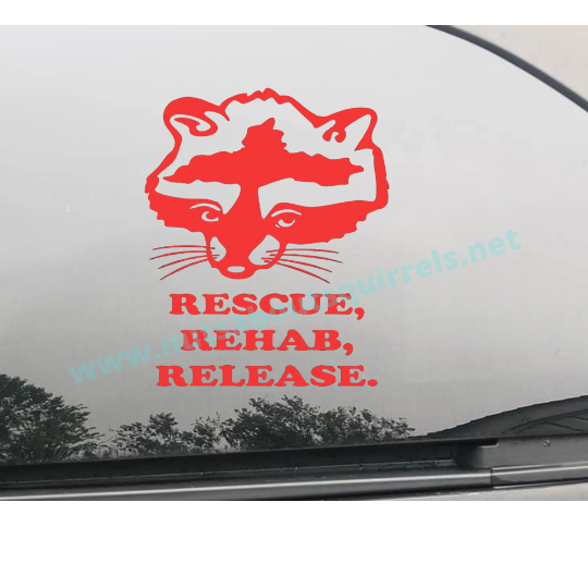 Rescue, Rehab, Release Vinyl Raccoon Decal