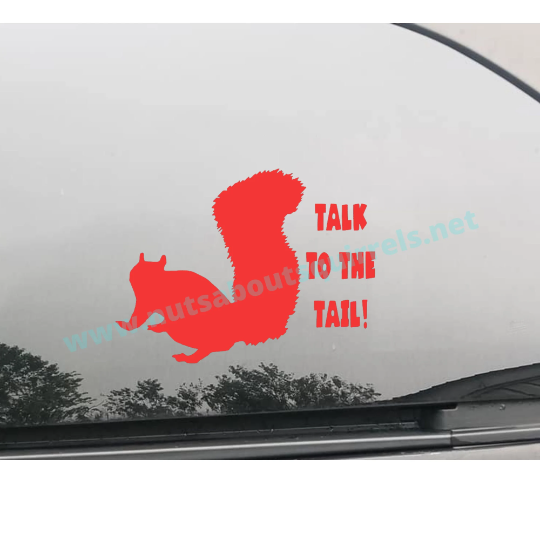 Talk to the Tail Squirrel Vinyl Decal