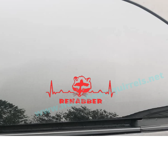 Raccoon Rehabber Vinyl Decal