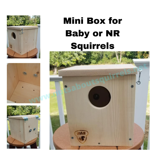 DIY Release Cage Mini Box