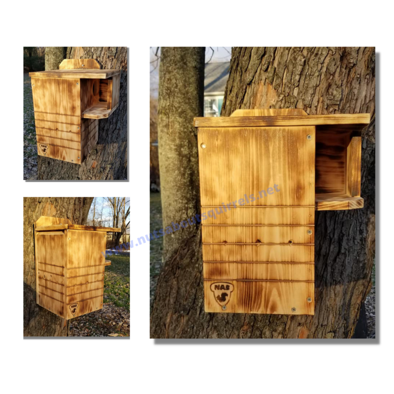 Squirrel Nesting Box for Golden Bough Wildlife