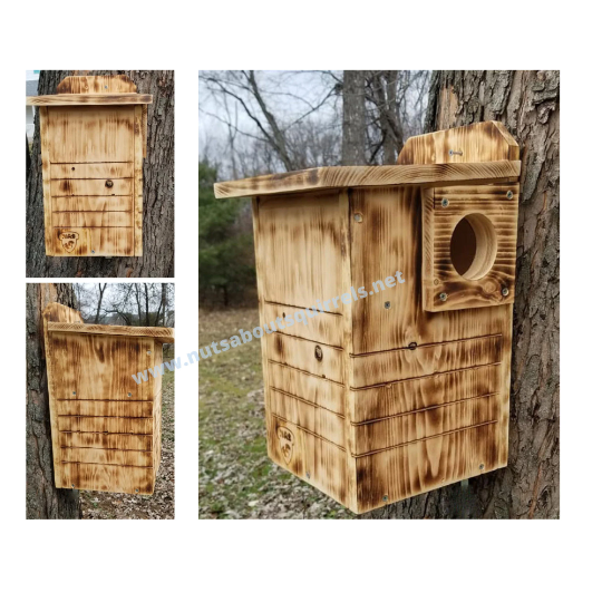 Squirrel Nesting Box