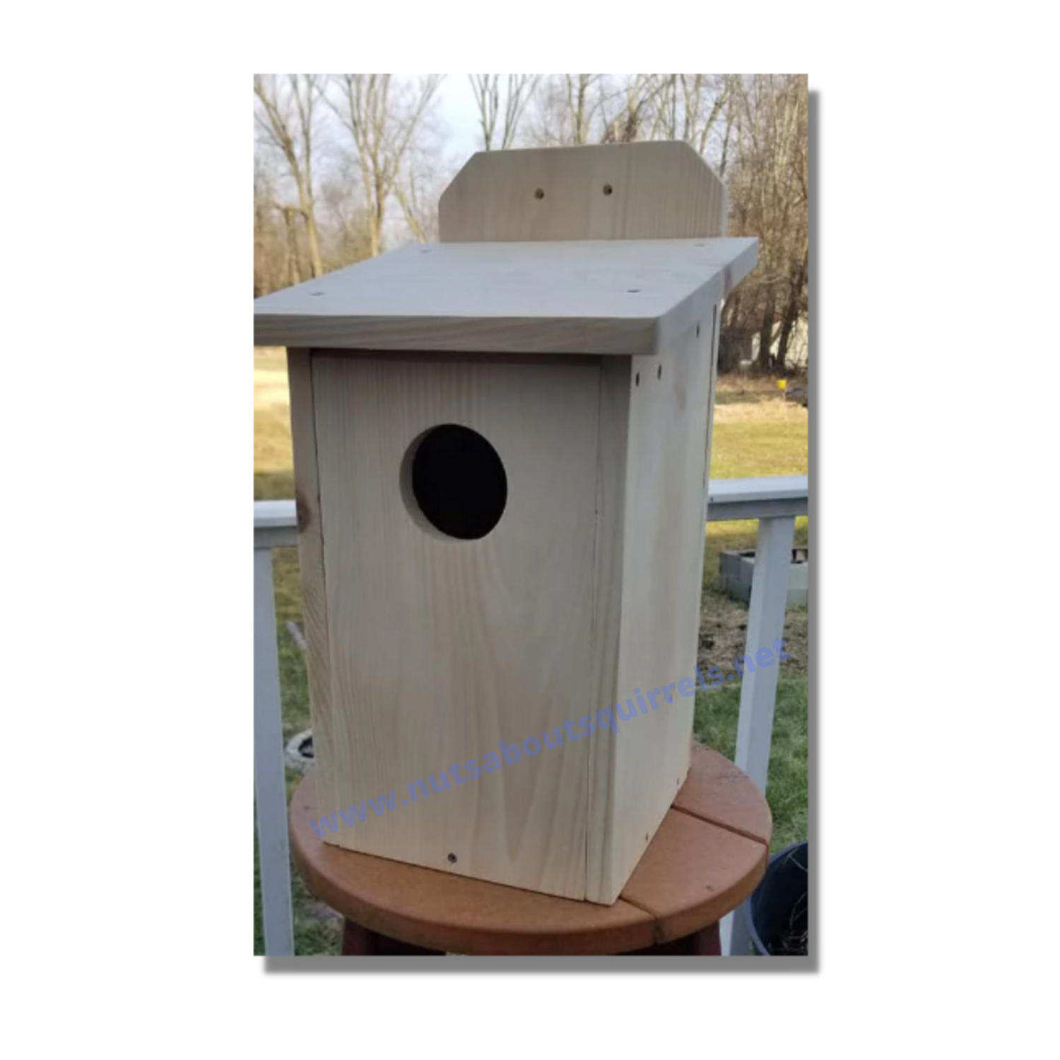 Screech Owl/American Kestrel House
