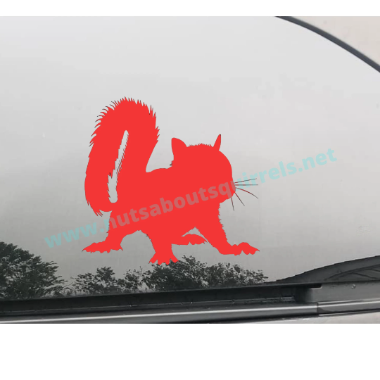 Baby Squirrel Vinyl Decal