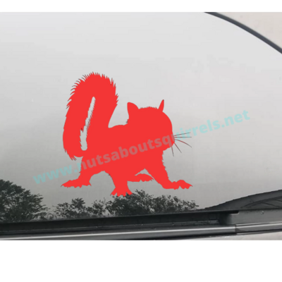 Baby Squirrel Vinyl Decal (5″×5″) – Multiple Colors Available