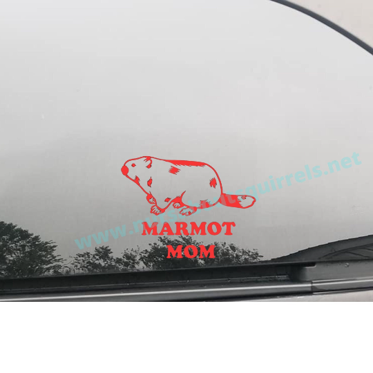 Vinyl Groundhog Mom Decal