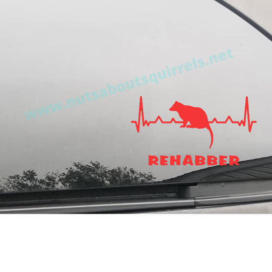 Opossum Rehabber Vinyl Decal