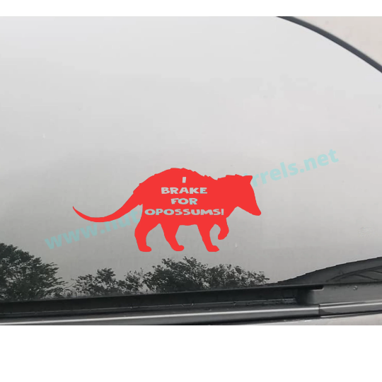 I Brake for Opossums Vinyl Decal