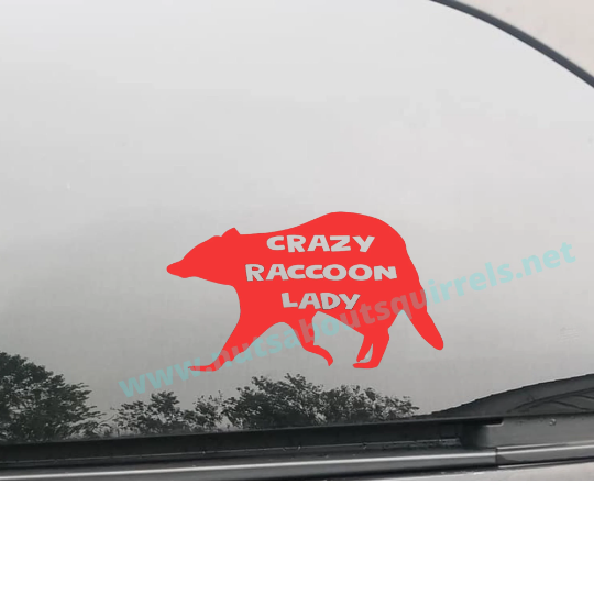 Crazy Raccoon Lady Vinyl Decal