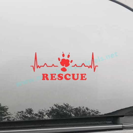 Guinea Pig Rescue Vinyl Decal