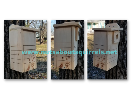 Red Squirrel House with Single Entrance