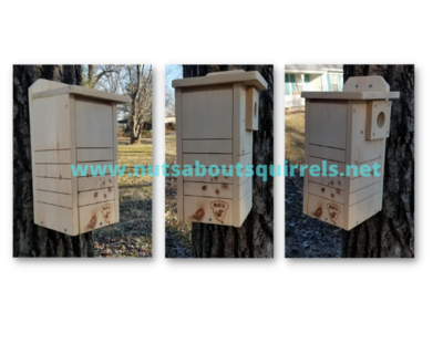 Red Squirrel House with Single Entrance