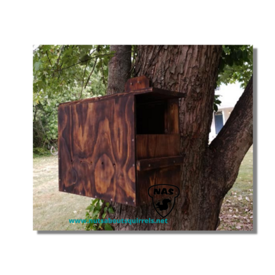 Bandit Bungalow Raccoon House