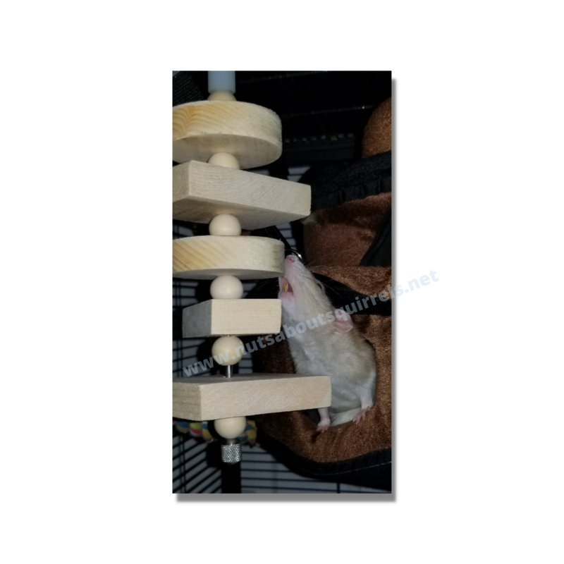 Fern&#39;s Toy Bundle