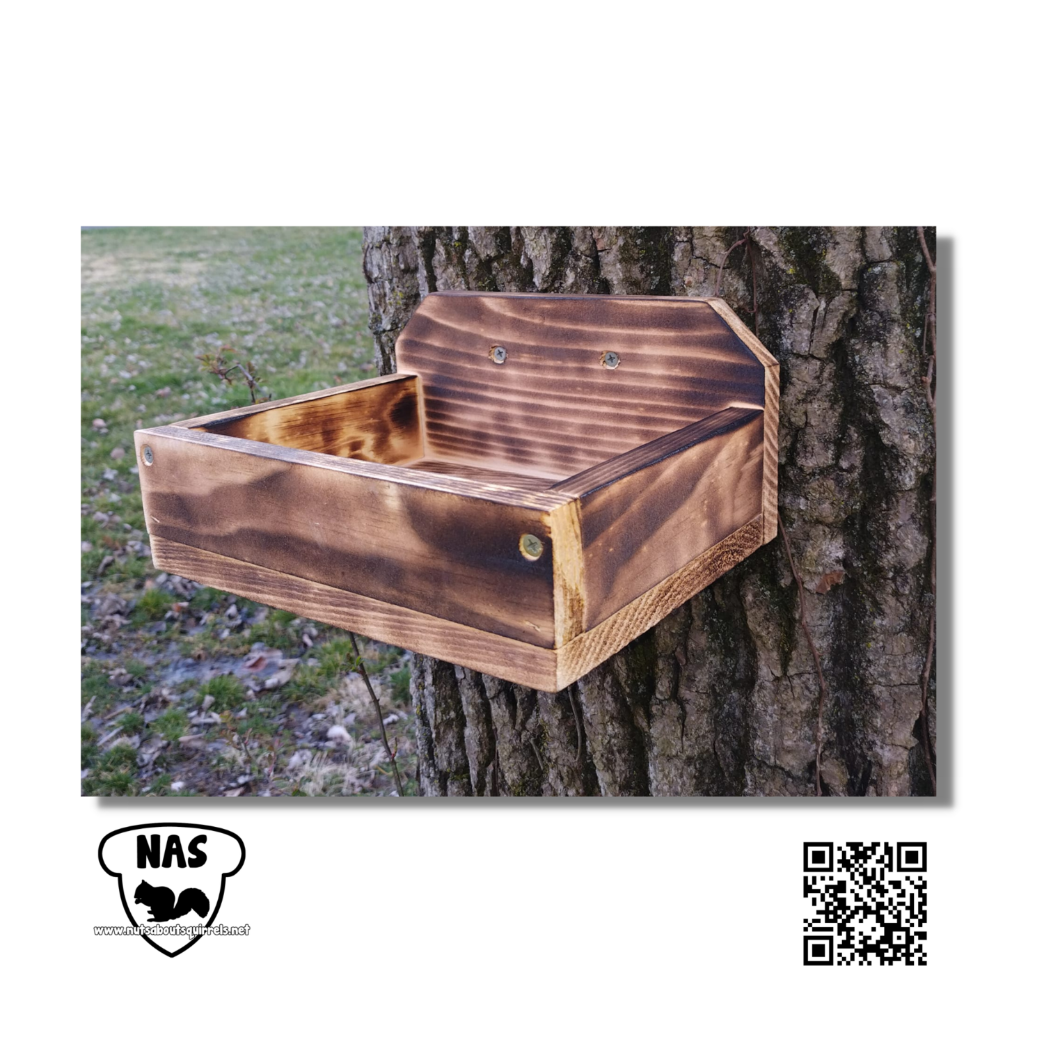Squirrel Feeder