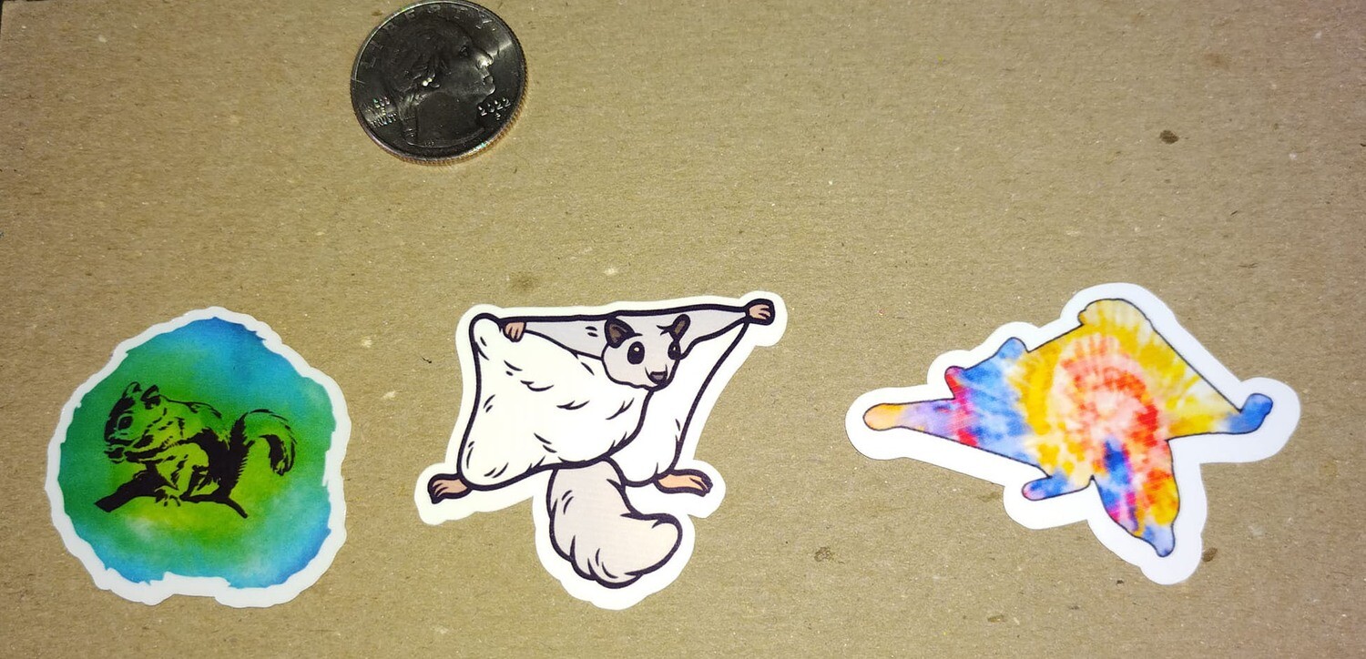 Set of 12 Flying Squirrel Stickers