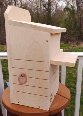 Squirrel Nesting Box