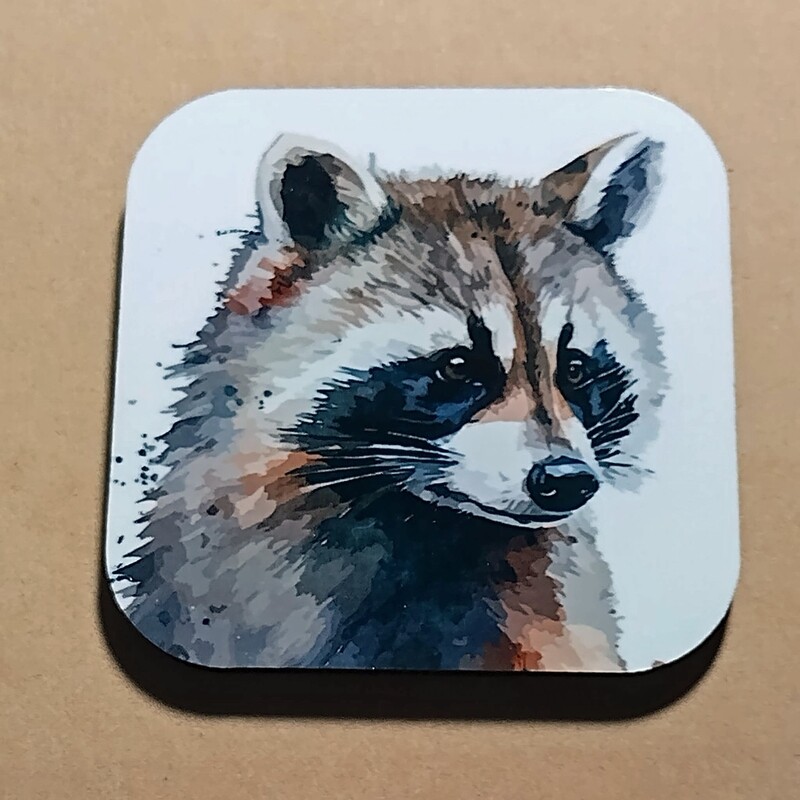 Set of Two Raccoon Magnets