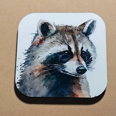 Set of Two Raccoon Magnets