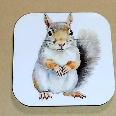 Set of Two Squirrel Magnets
