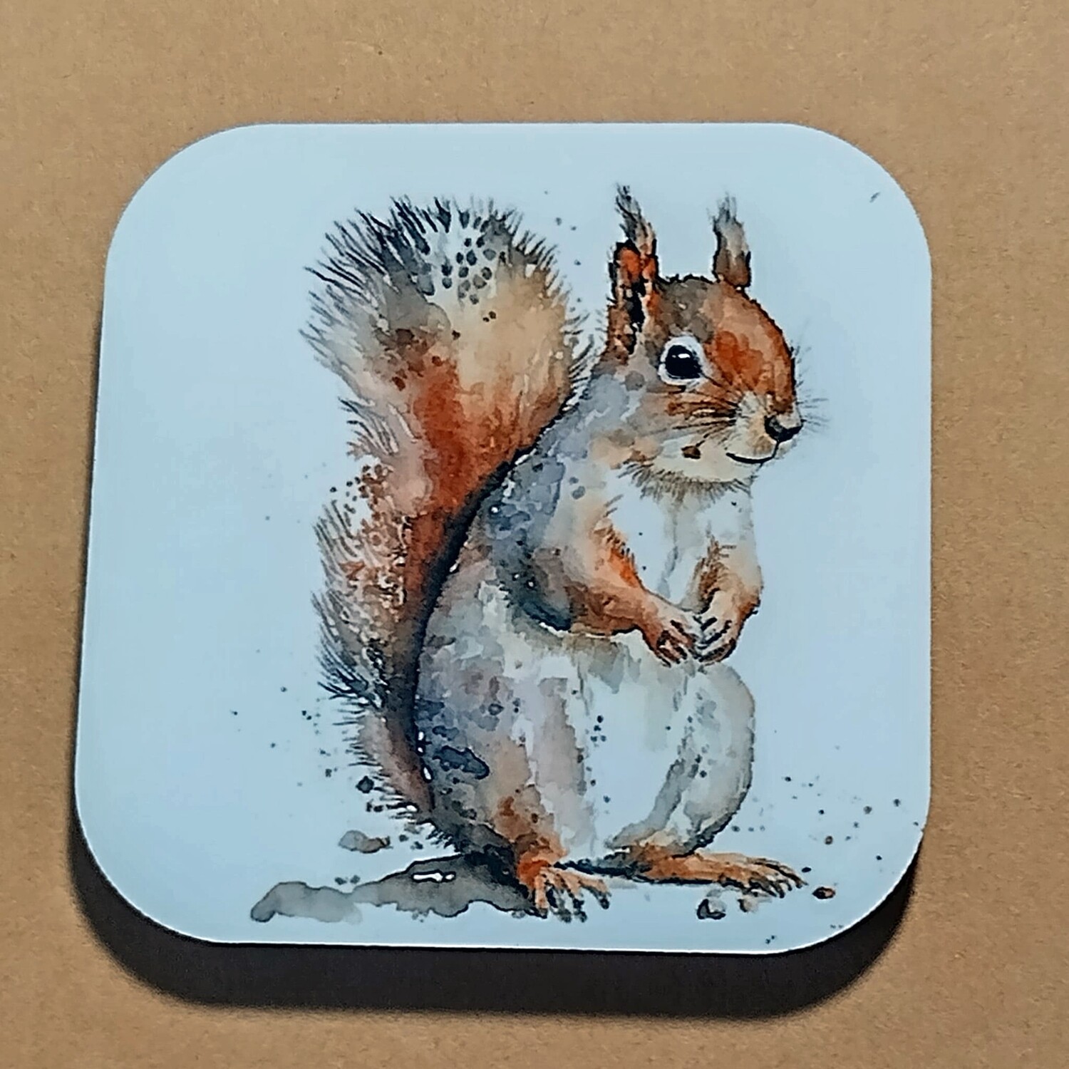 Set of Two Squirrel Magnets