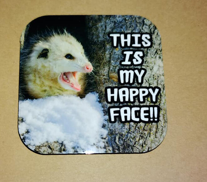 Set of Two Opossum Magnets