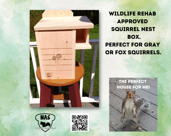 Squirrel Nesting Box