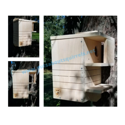 Single Entrance Squirrel Houses