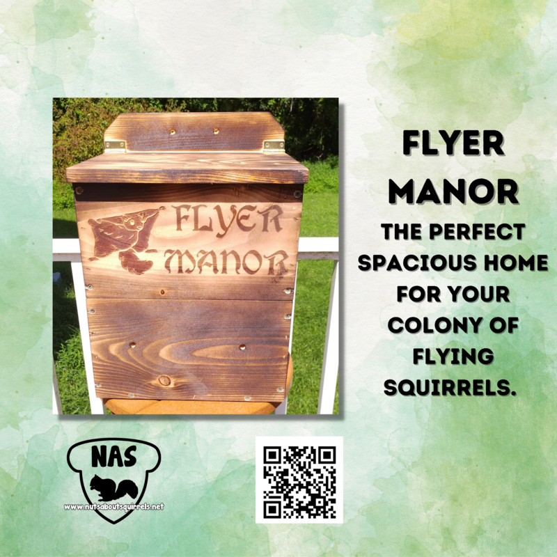 Flying Squirrel Manor