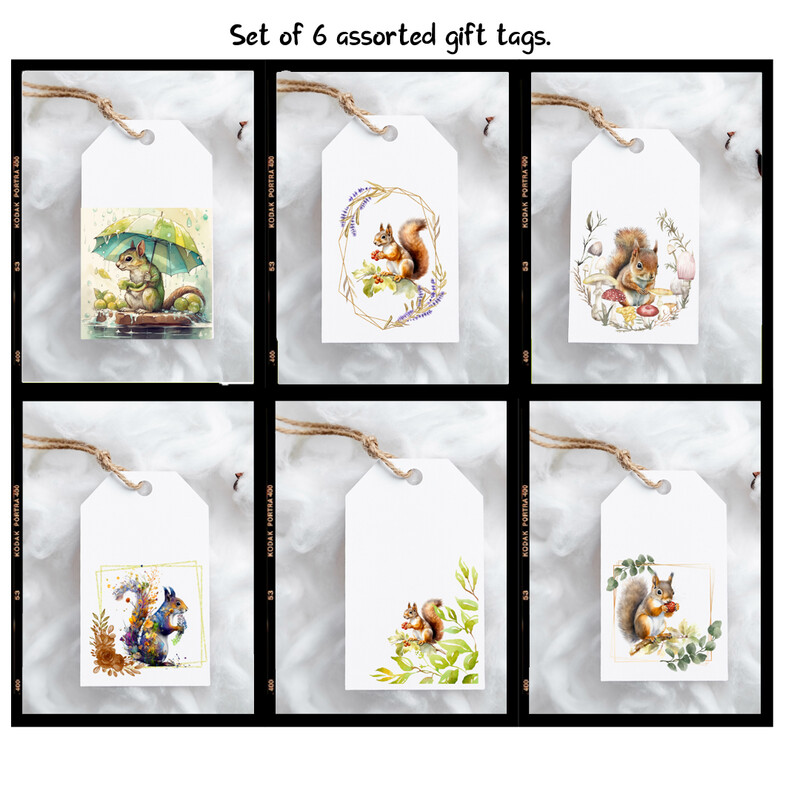 Assorted Squirrel gift tags