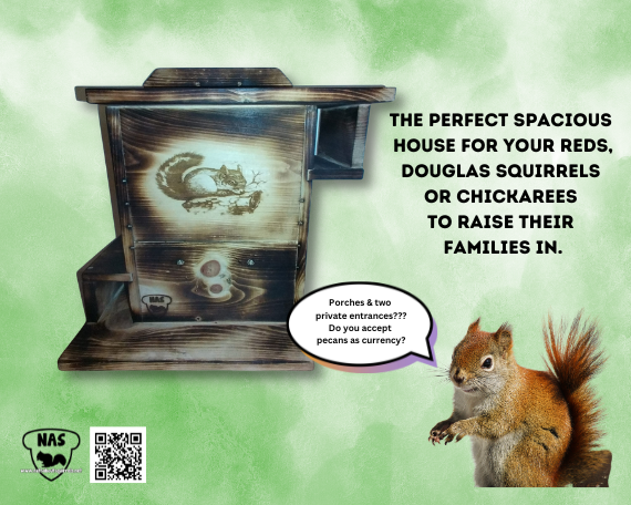 Red Squirrel Condo