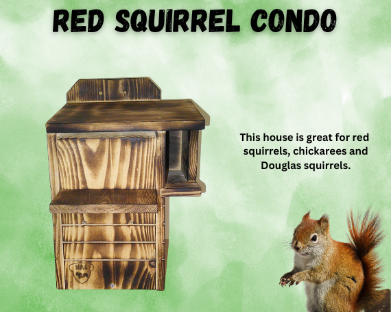 Deluxe Red Squirrel Nesting Box