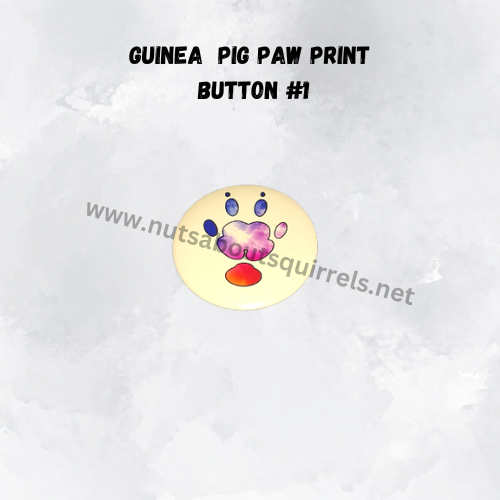 Guinea Pig Buttons